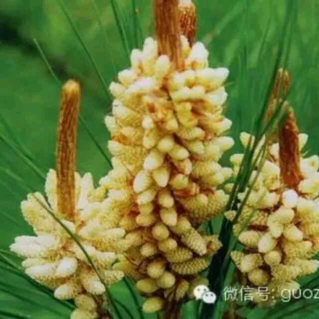 山青水秀