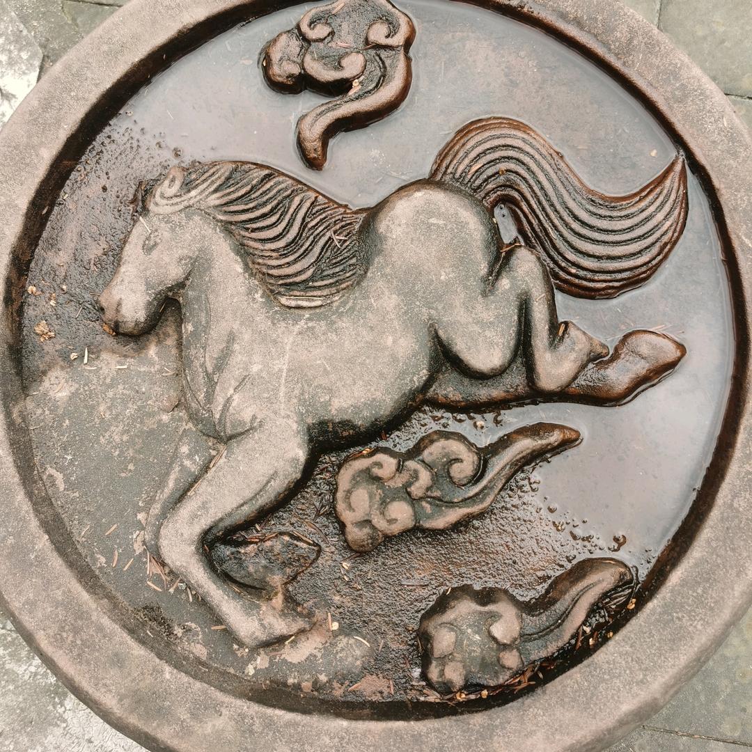 与狼共武