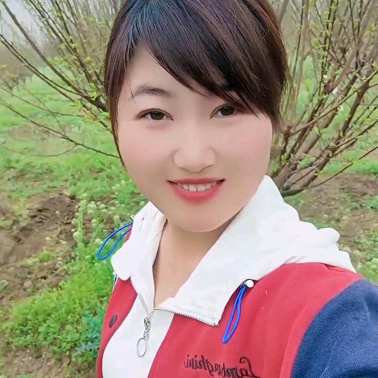 网红挖工团队  李龙艳