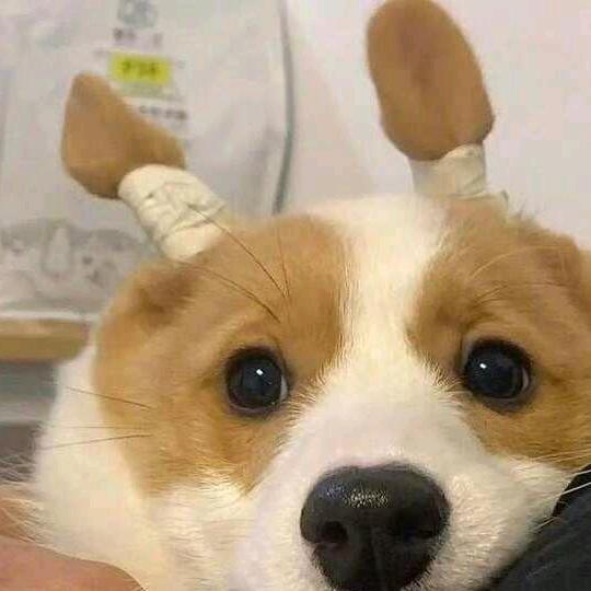 汇川 趣无限～