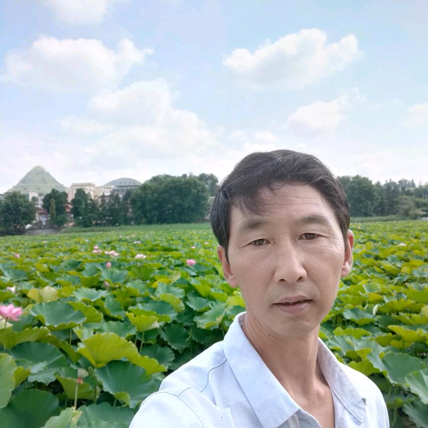 一帆风顺