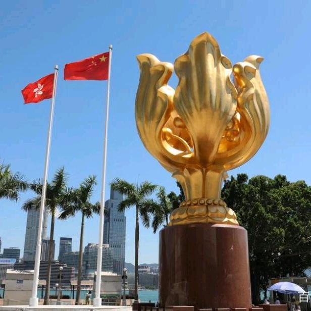 洋哥～海纳百川