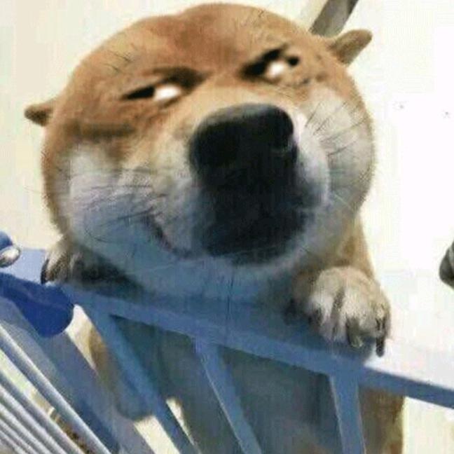 青柠dy