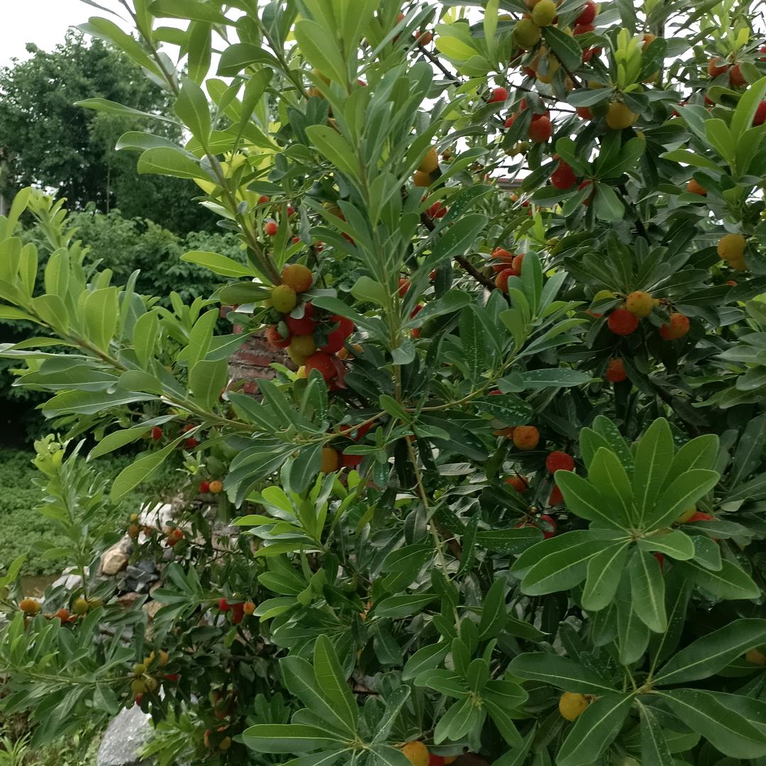 快乐玲姐姐巜拒绝私聊》