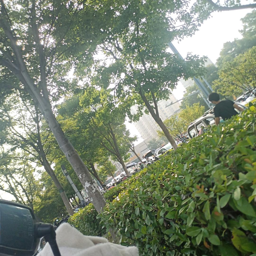 一笑解千愁