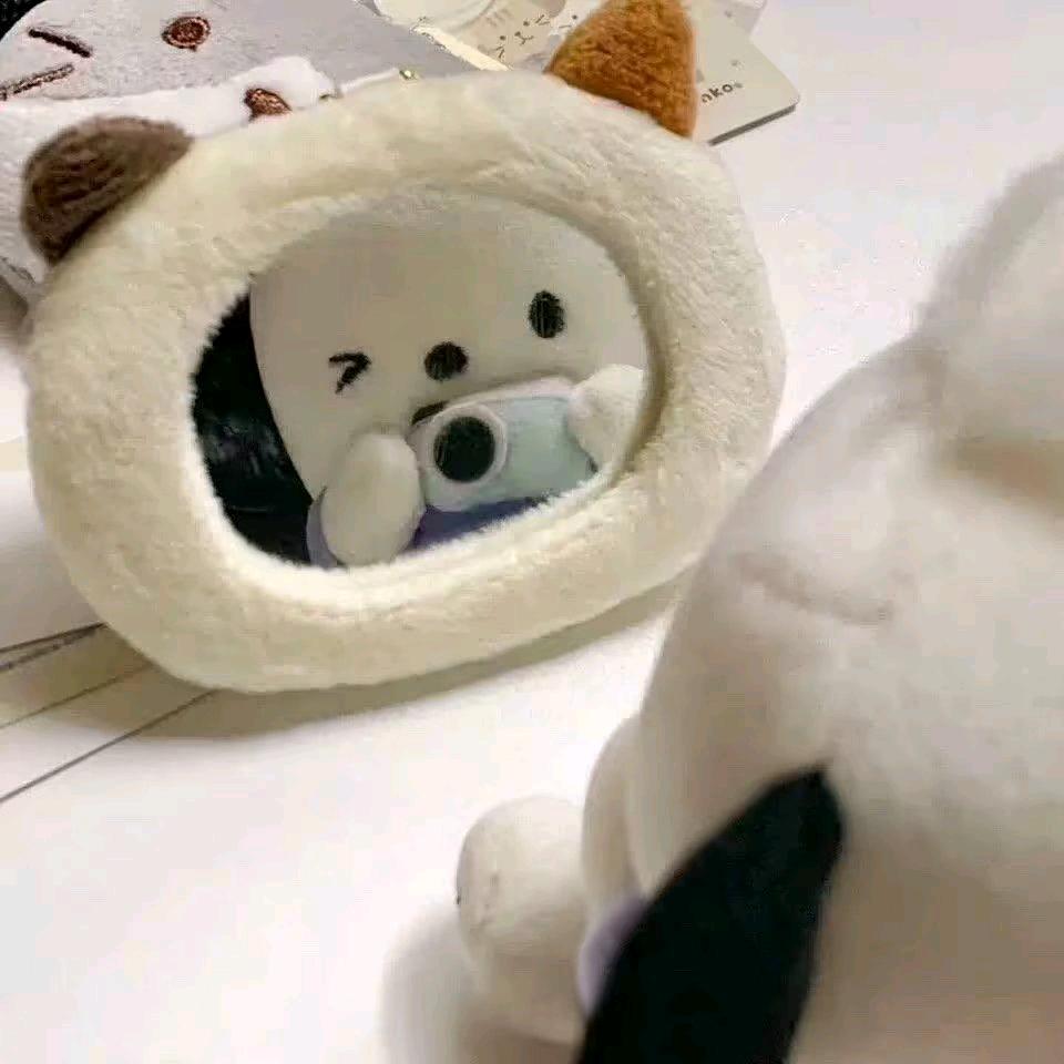 每天都想睡觉💤