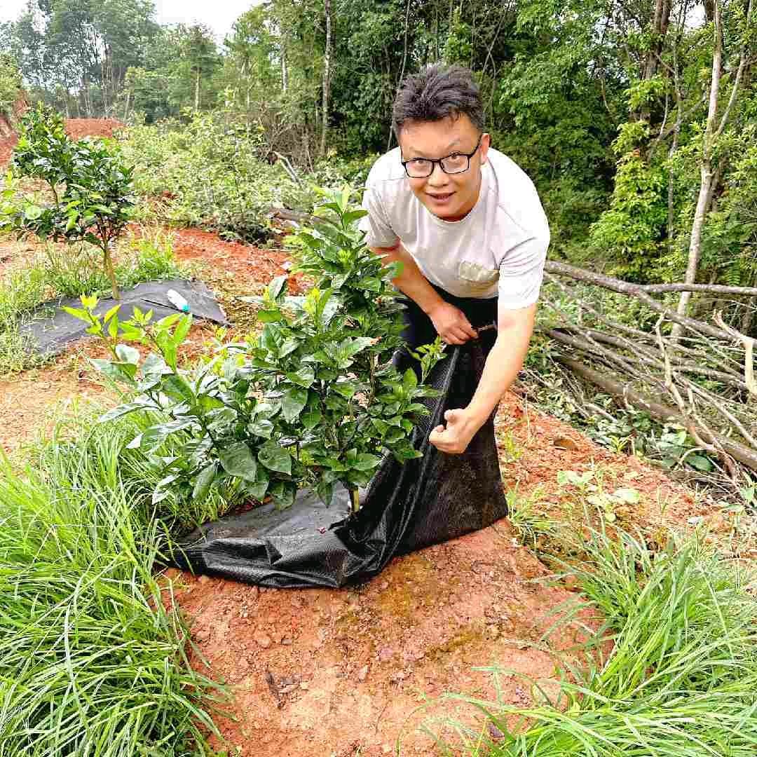 杂草封印师～防草布