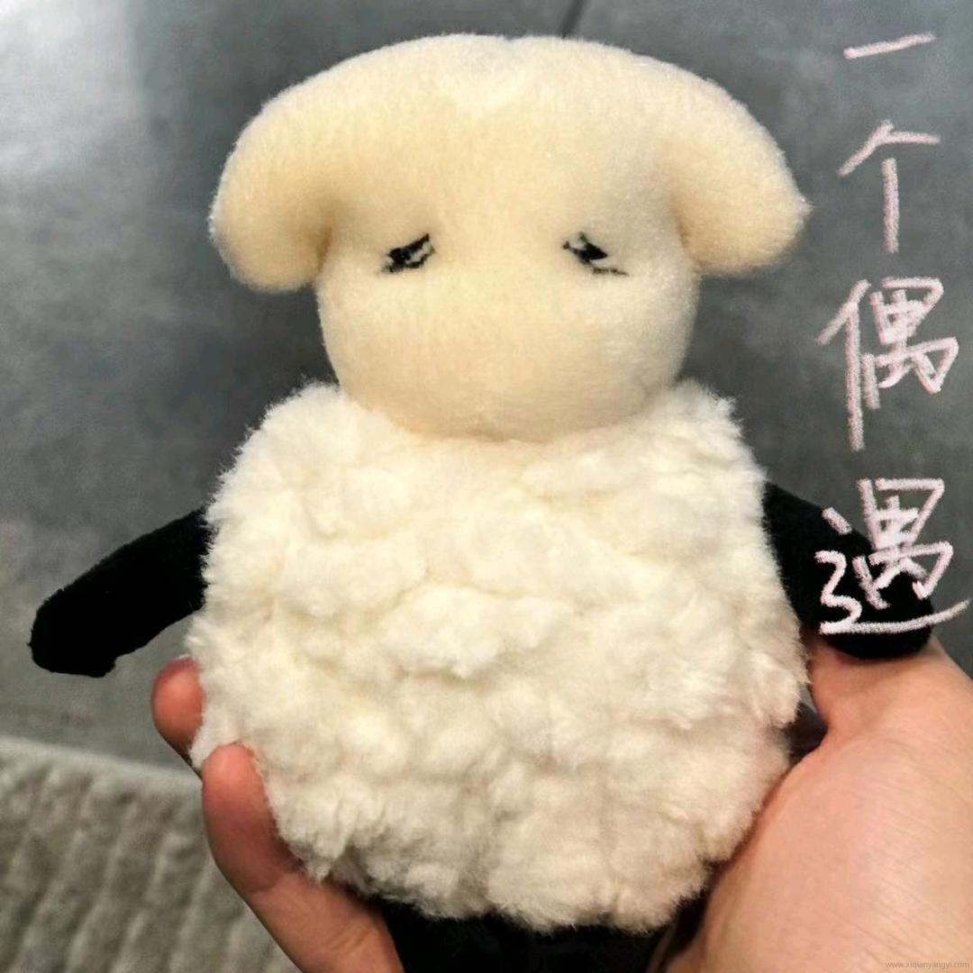 玺烊烊&A梦