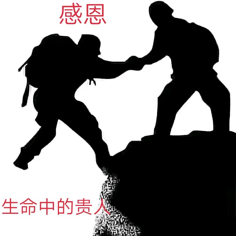 沽源⇆北京商务车《亮亮》
