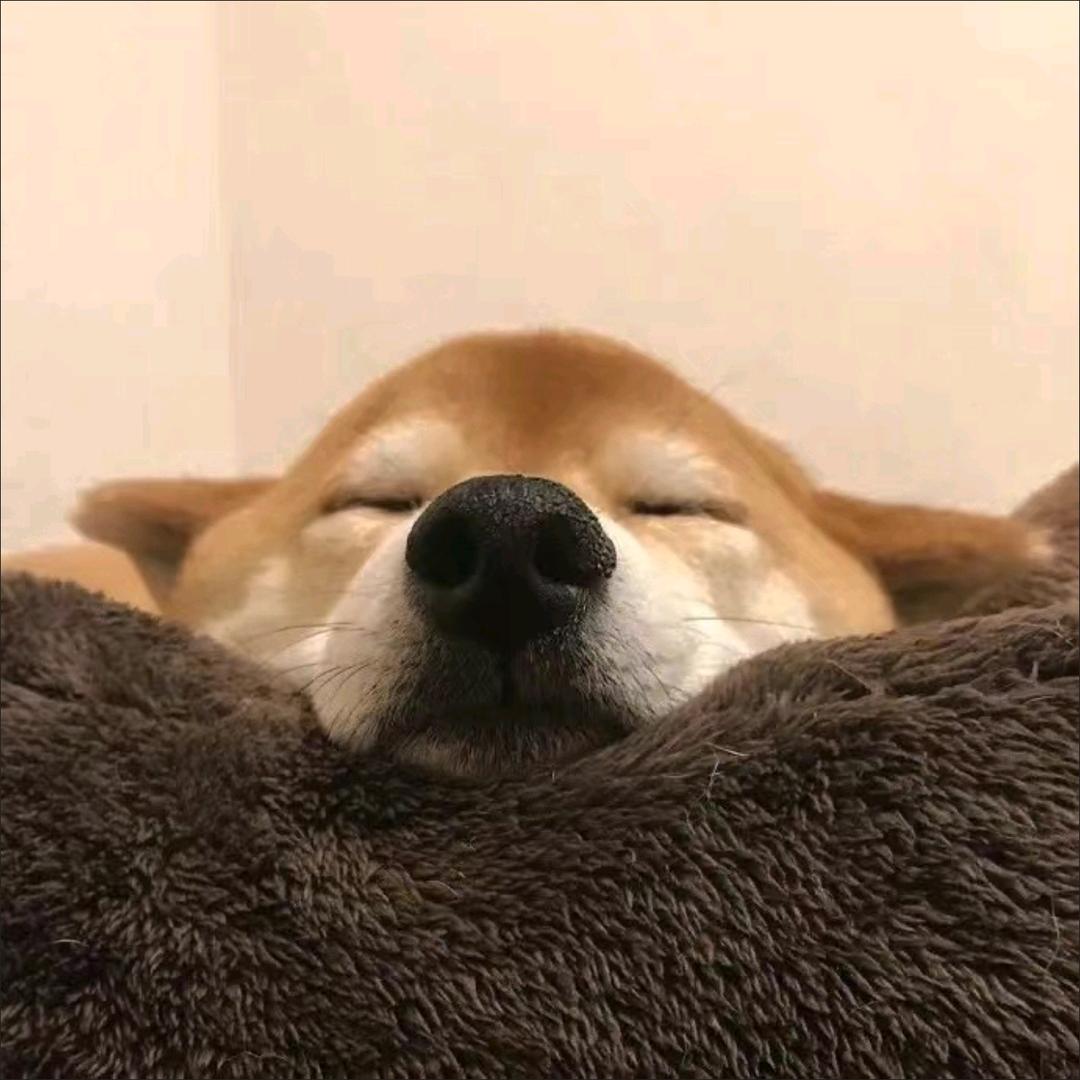 🇨🇳味道🇨🇳中国🇨🇳