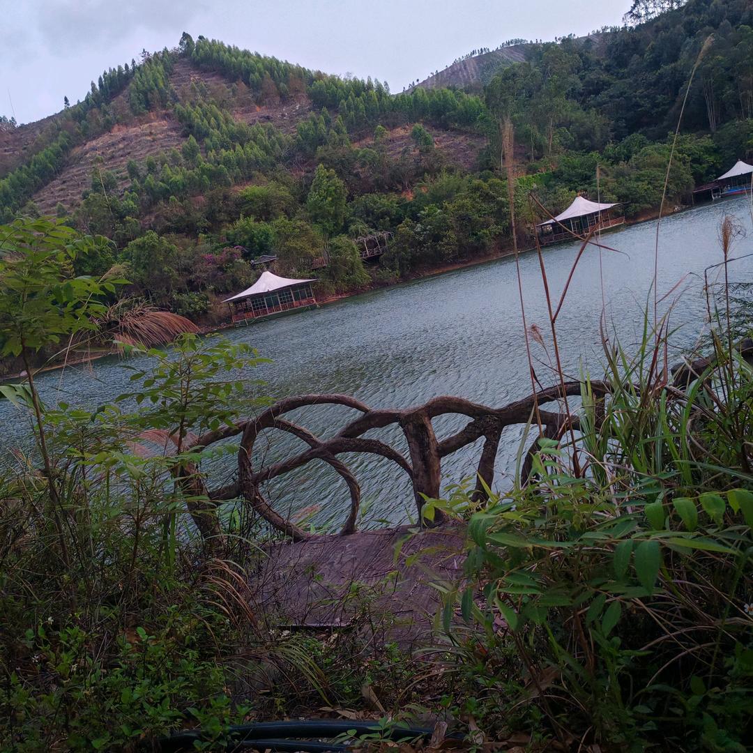 阿海钓鱼日记