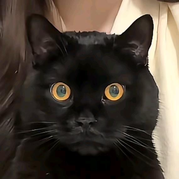 小狐三千窟🦊（沉迷ai版）