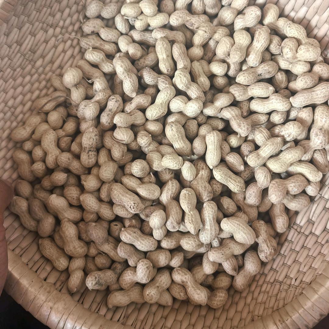 一品香农家炒花生