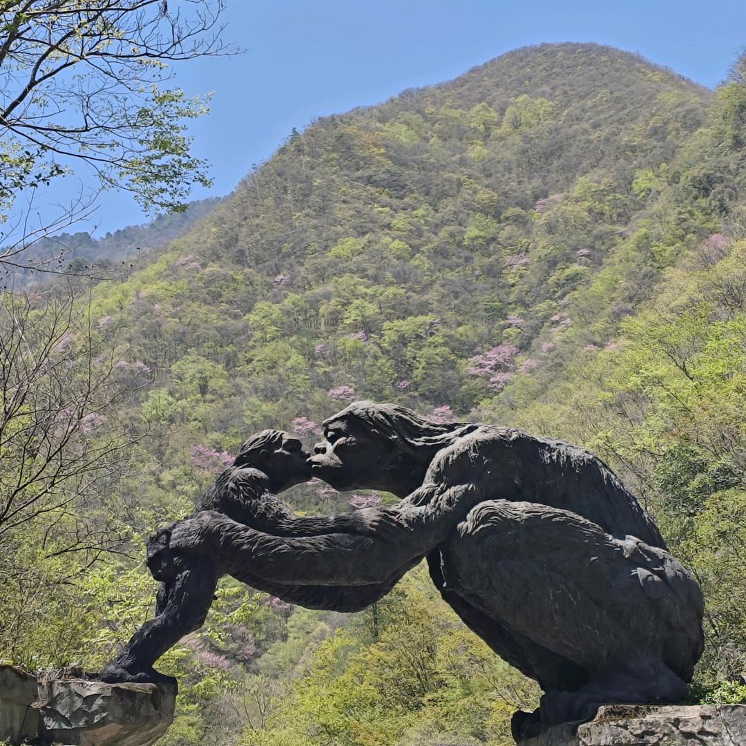 @神农架野人大叔