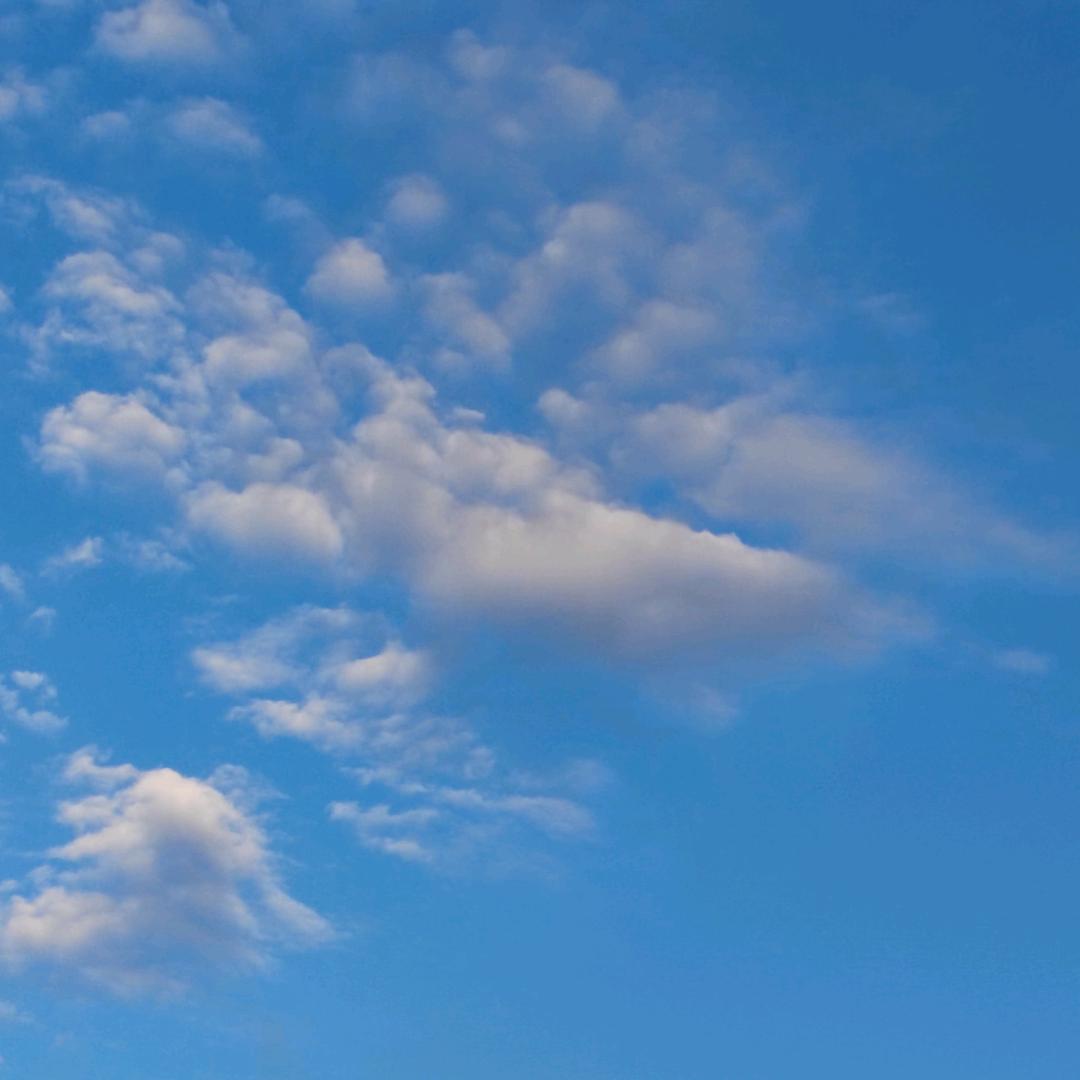 情❤️非🌹得🌿已