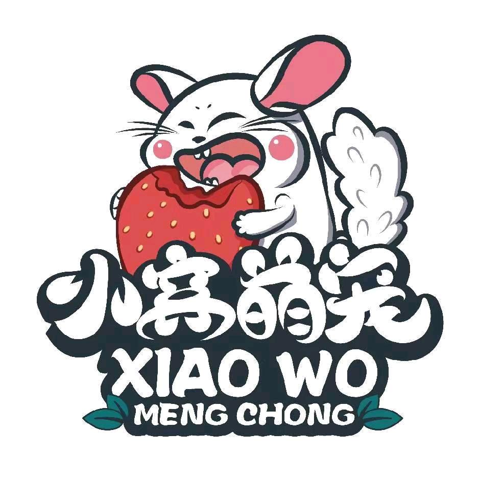 小窝萌宠龙猫店