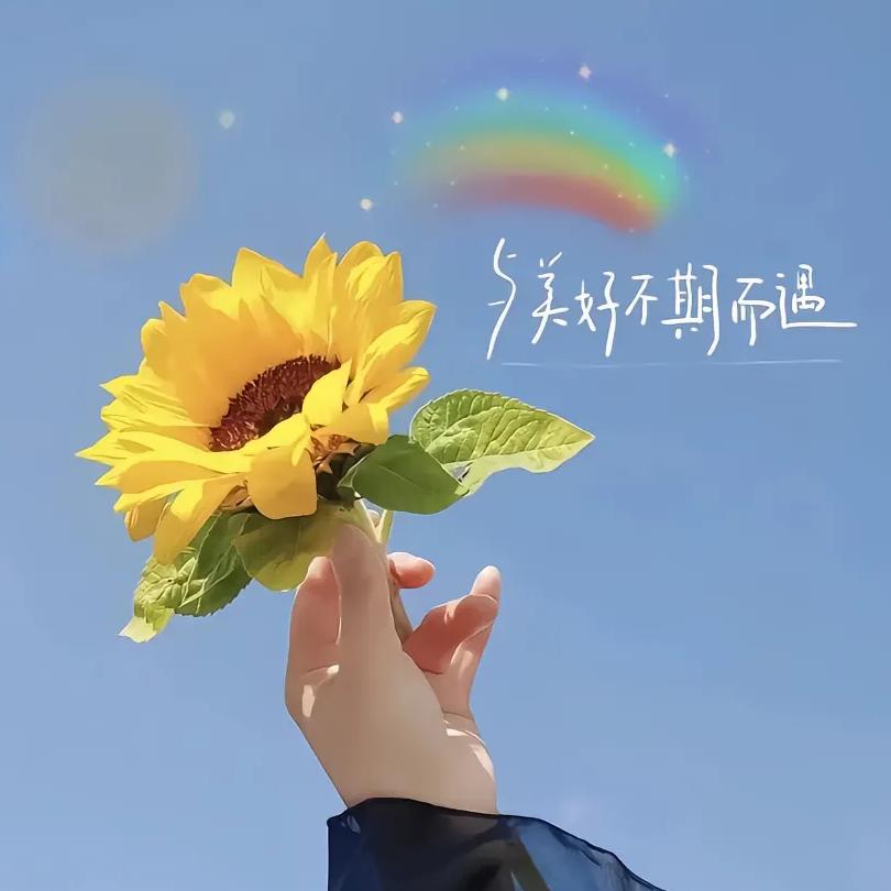 🌈小松果。