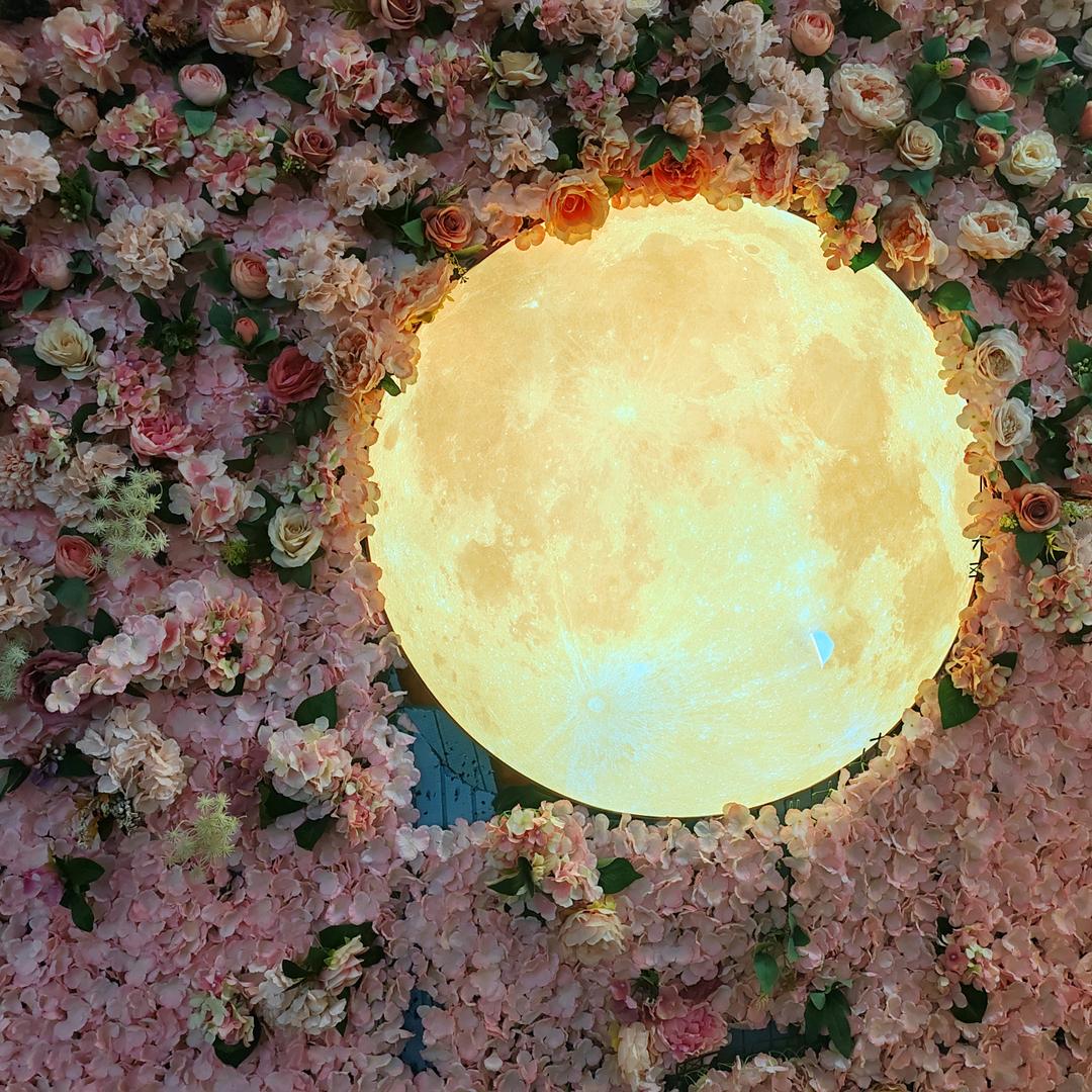 星星⭐点灯