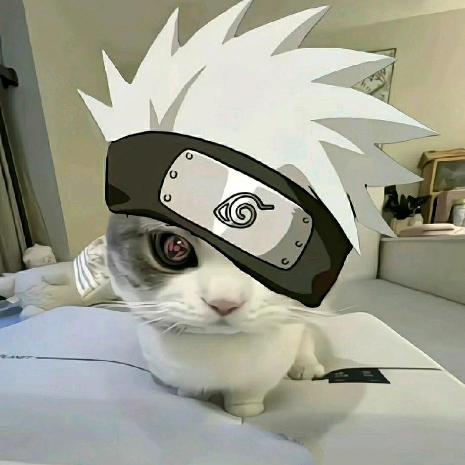 布拿拿先生