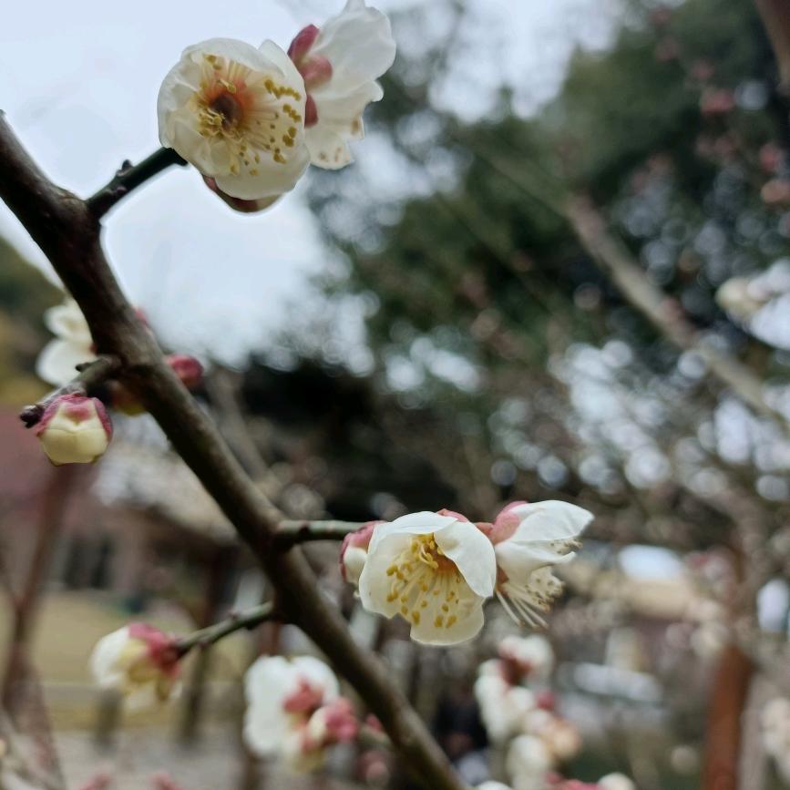 用户9439639890558赵先生