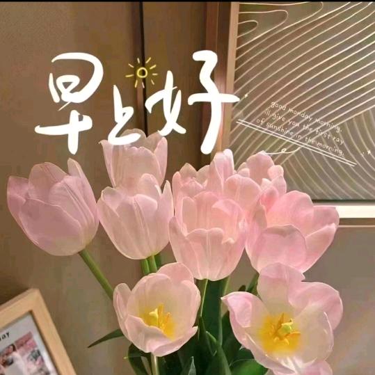 ৡৢﺴﻬ 一见你就笑ﺴﻬৡ