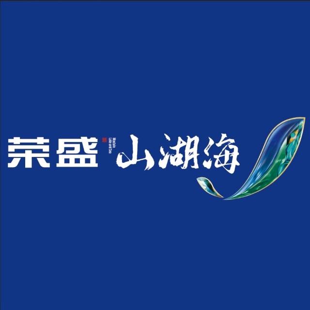 阳西华盛房地产有限公司