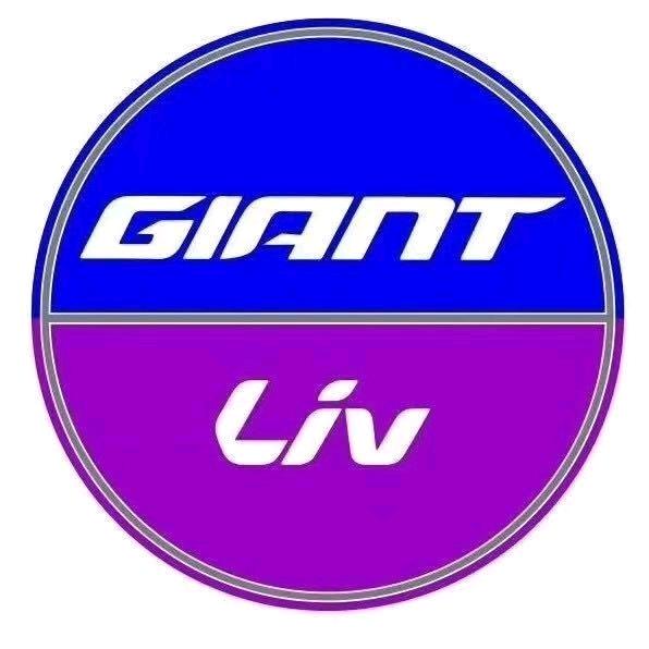 捷安特丽以芙创汇社区店