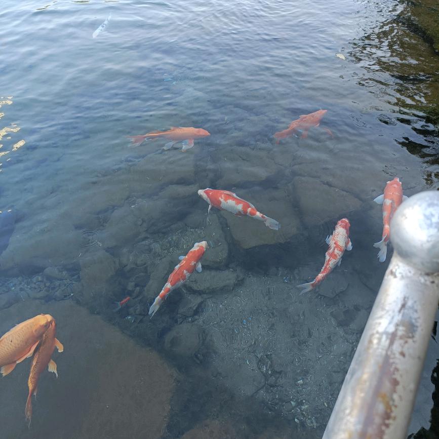 卡车司机车刘哥