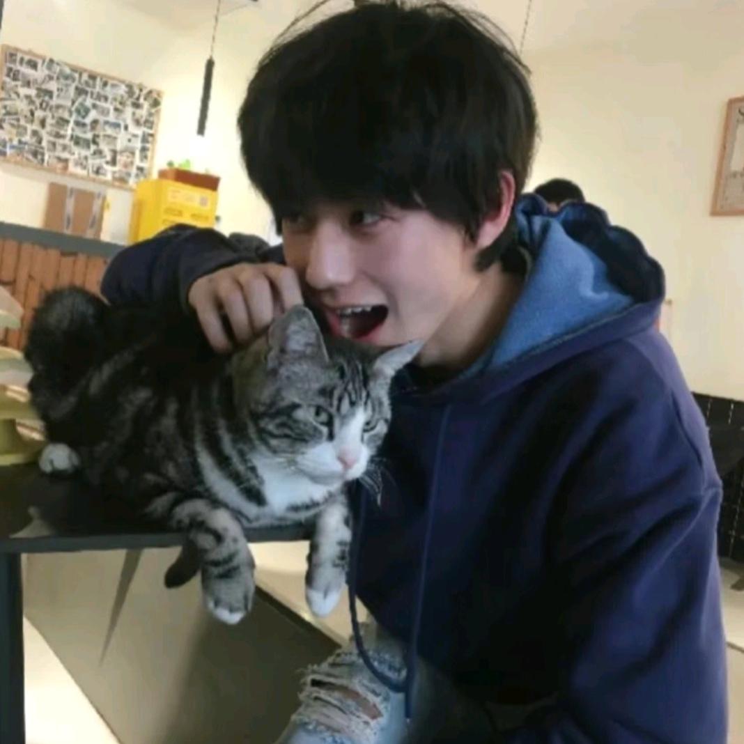 钉针