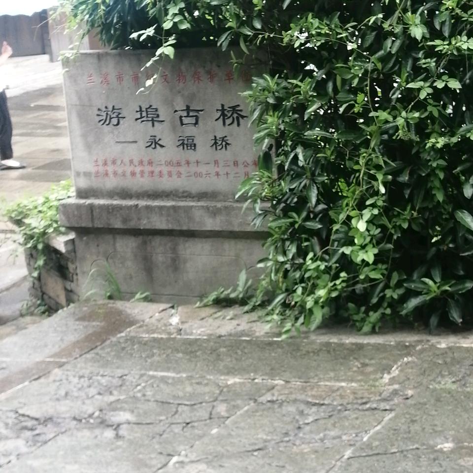 淡淡的我