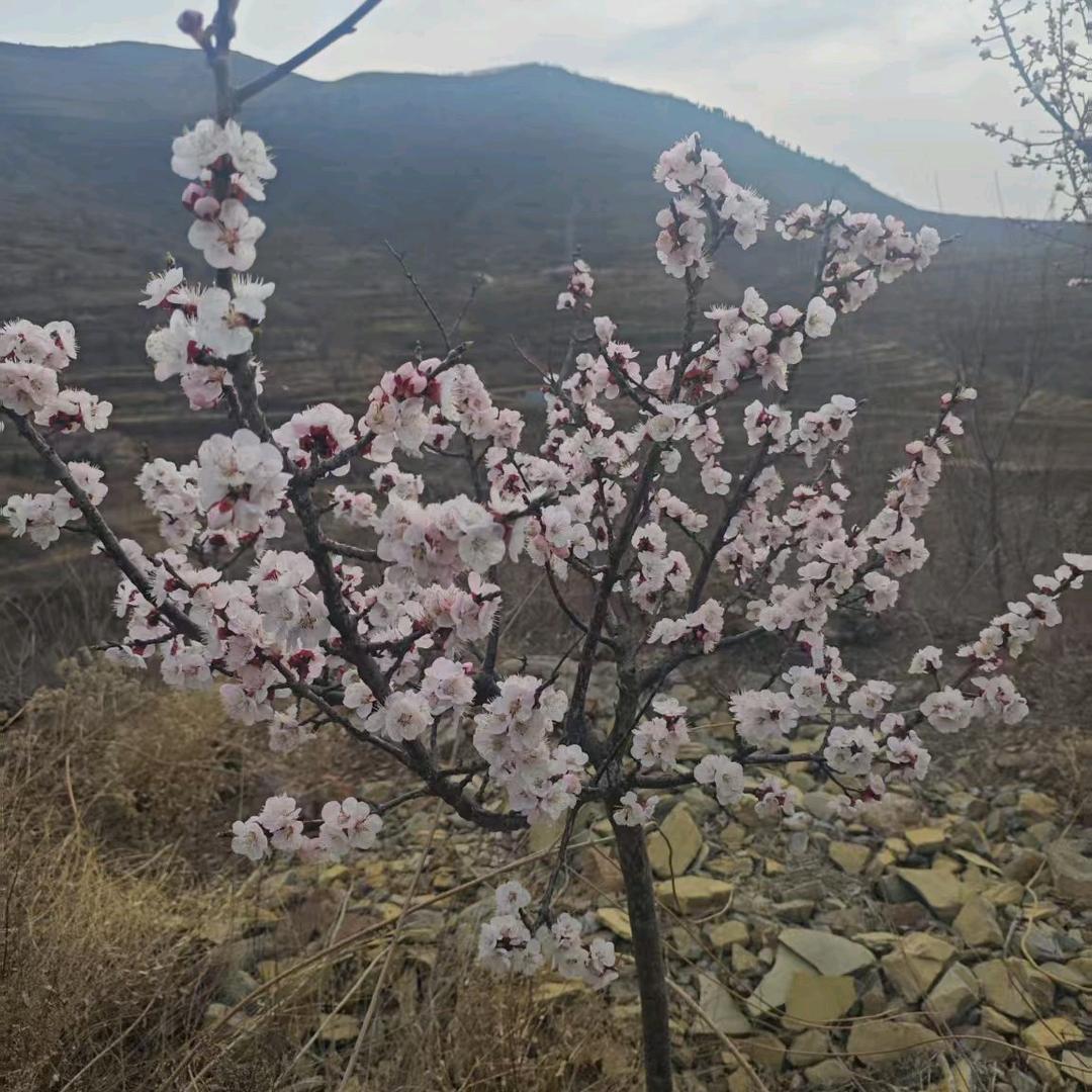 做好自己，勇往直前