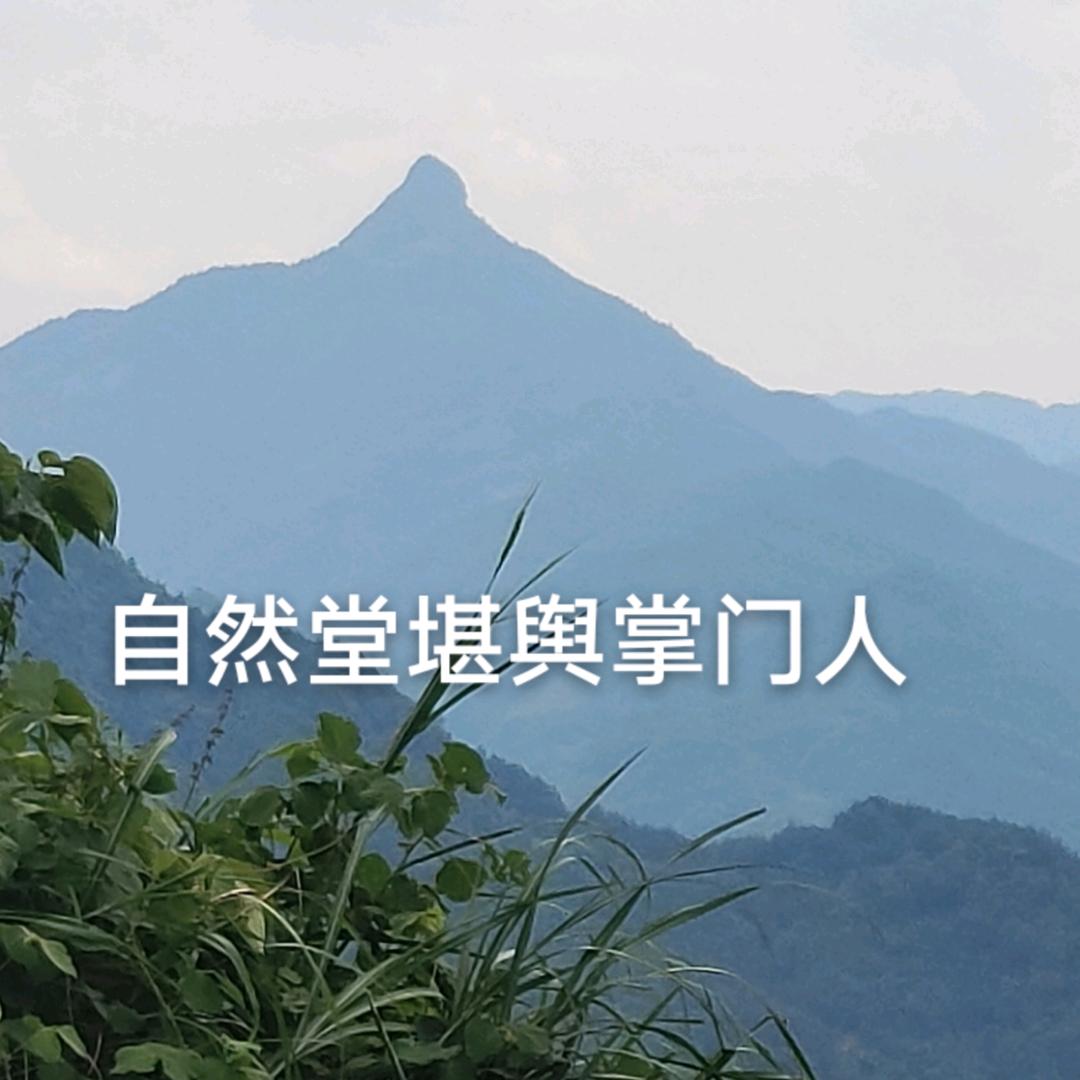 大拇指立向，郭派峦头。