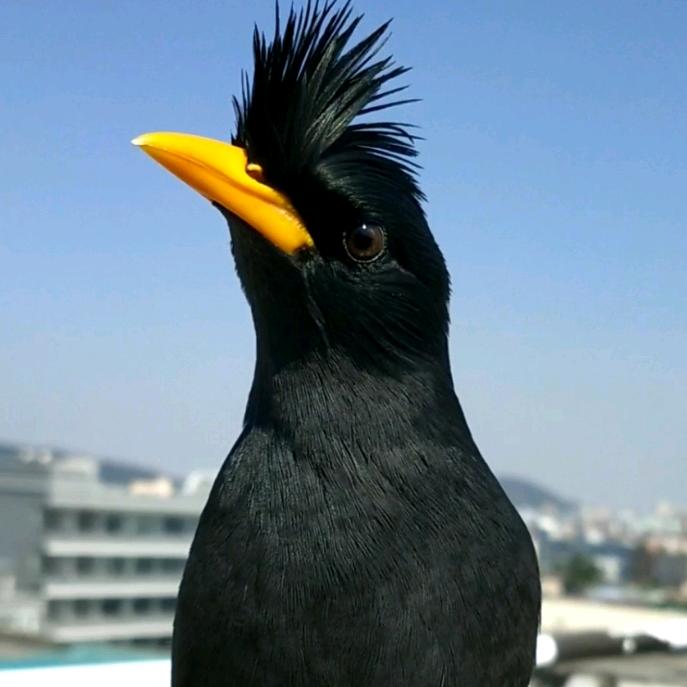 刘少👉户外拍摄