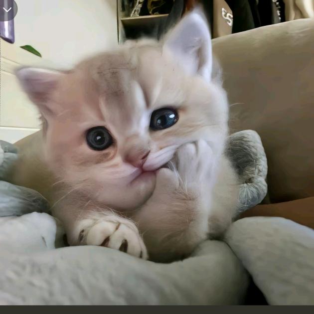 飘飖😉