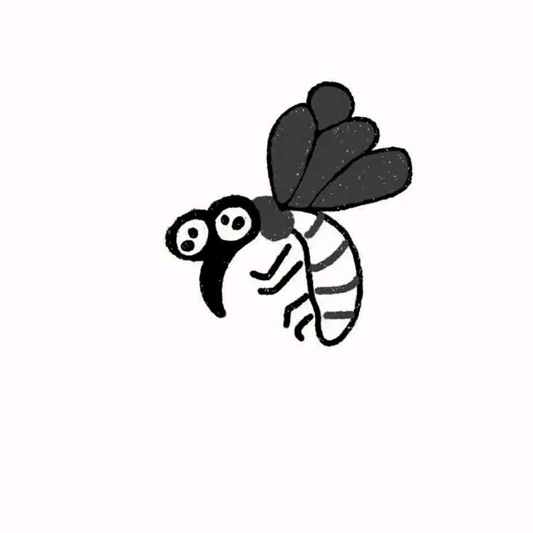 渌