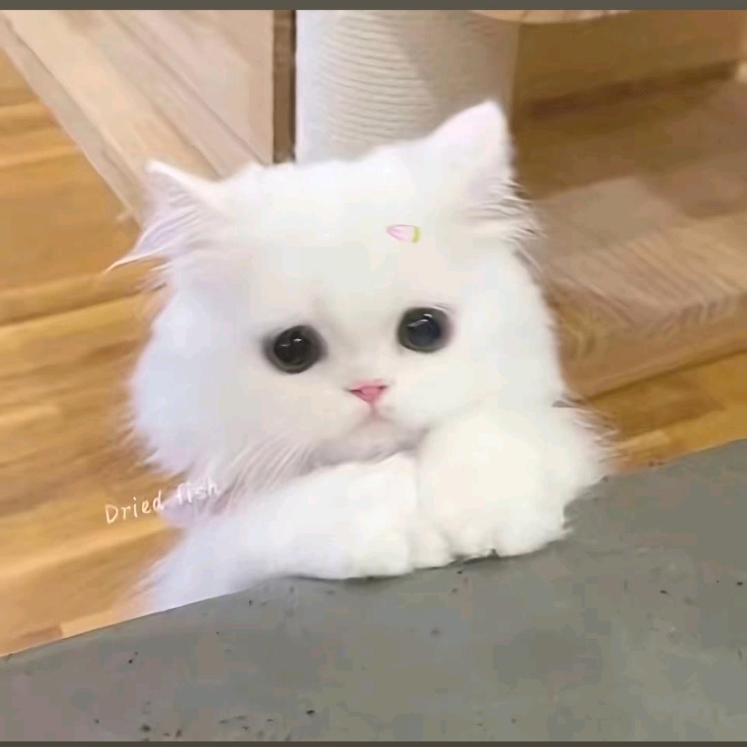 ｆᶠ