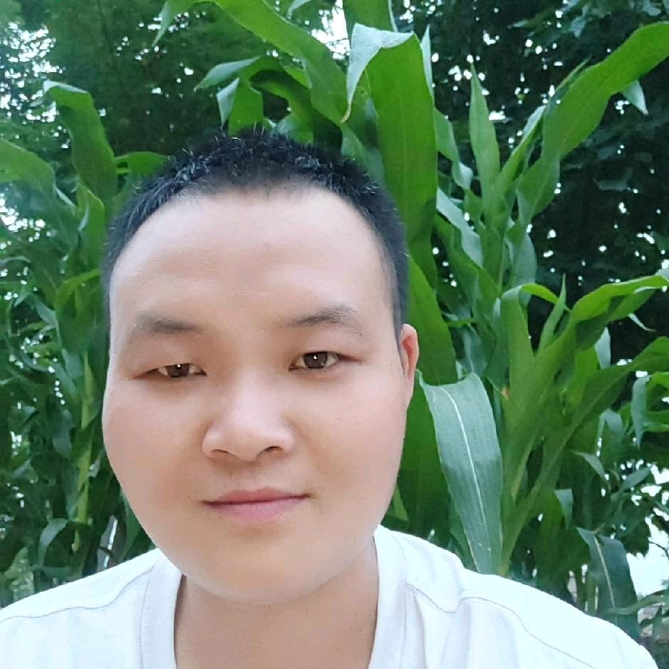 得森