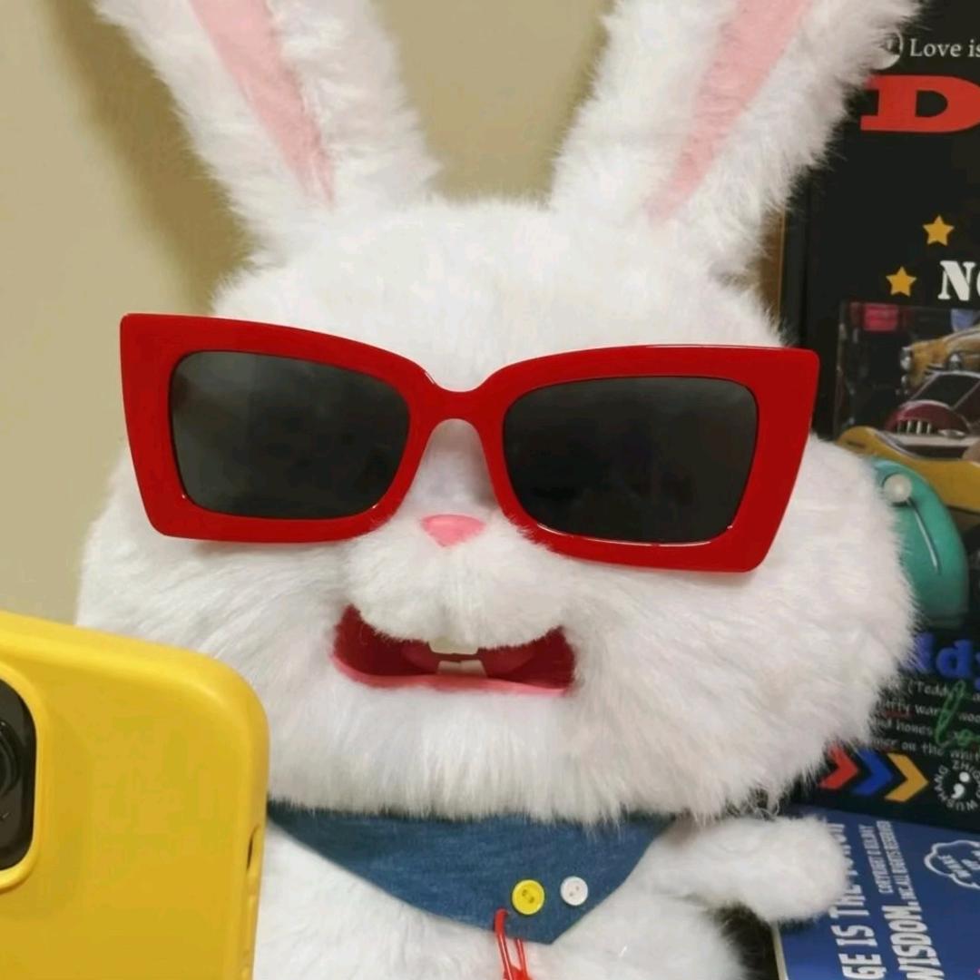 凶巴巴的兔小七