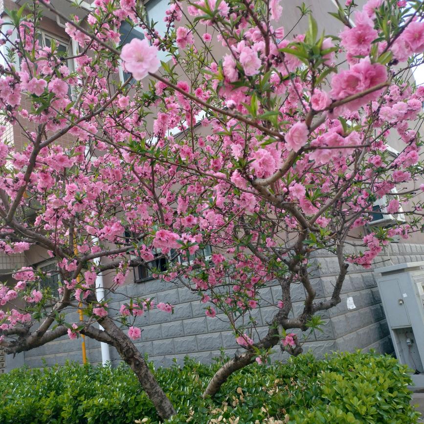 苦尽甘来