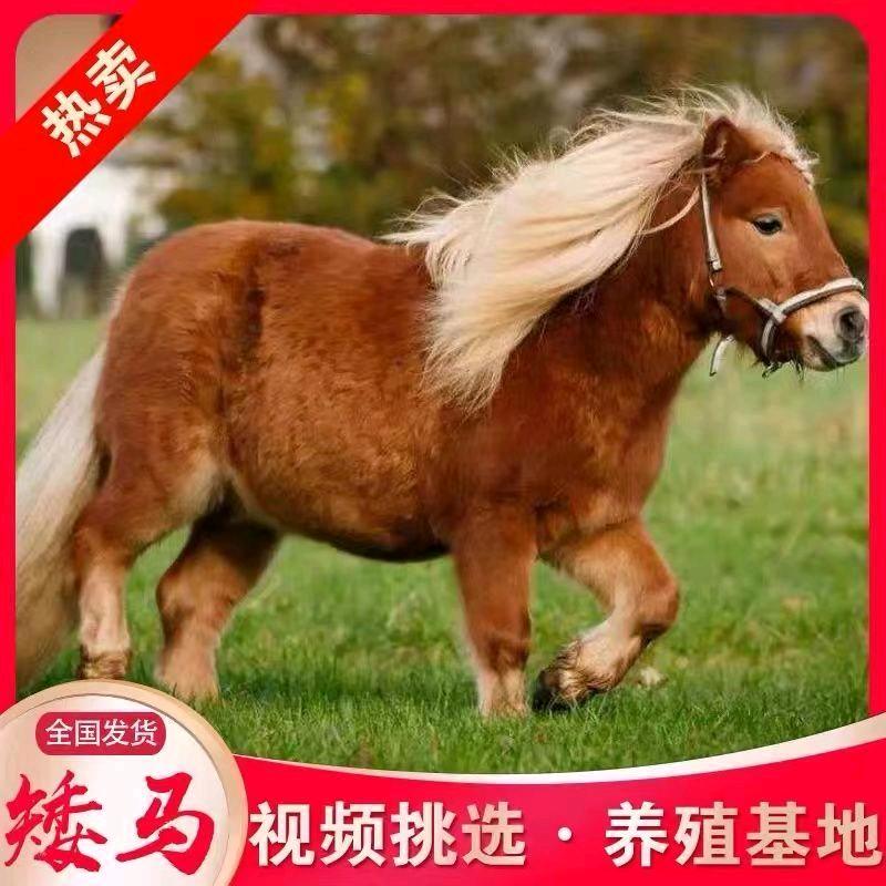 大型特种养殖场