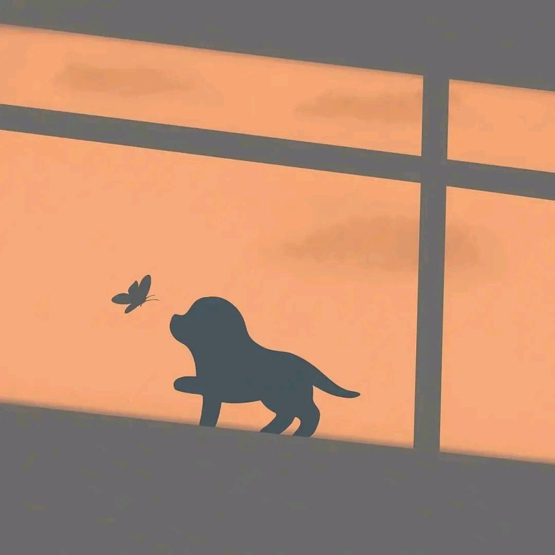 女子无情便是王