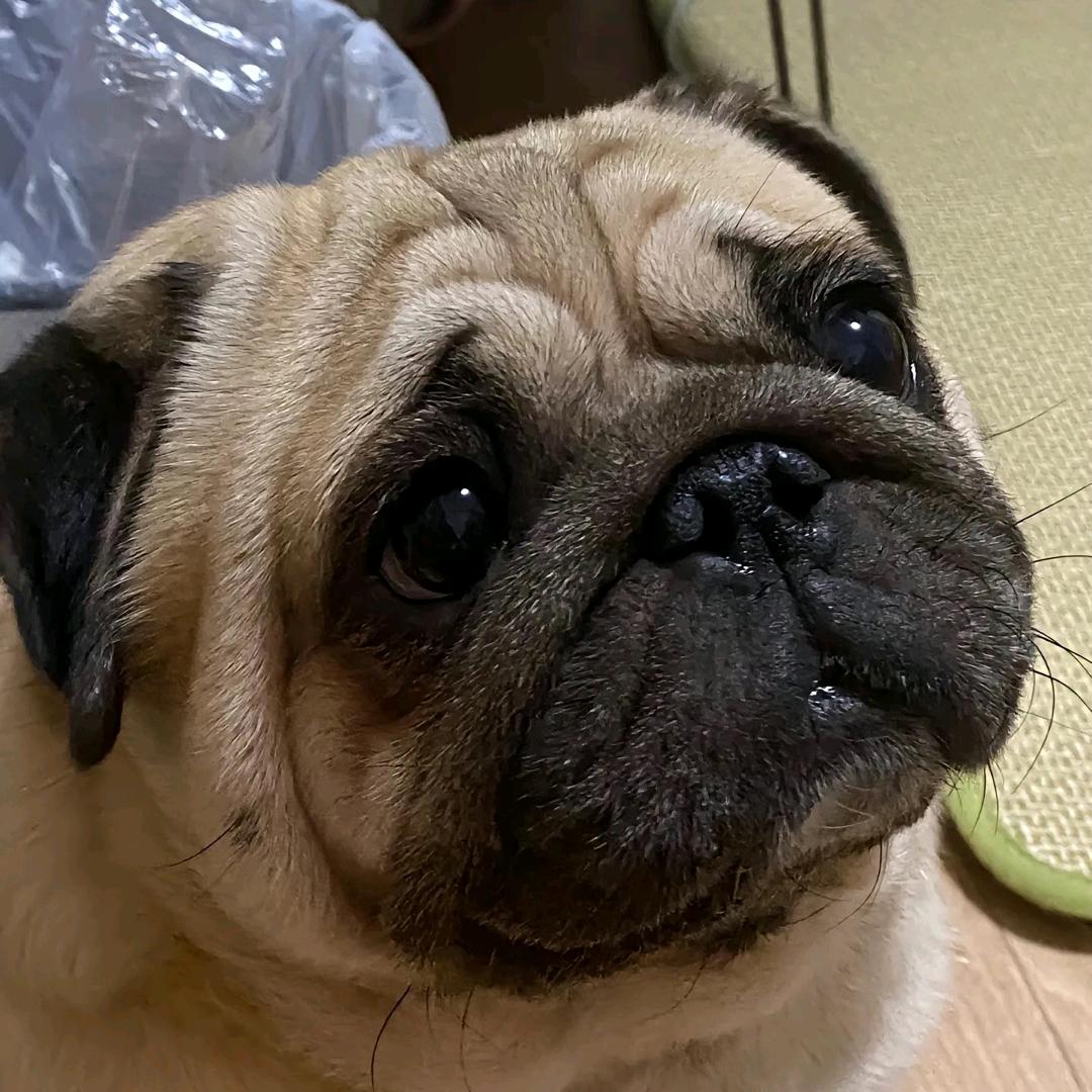 竹林