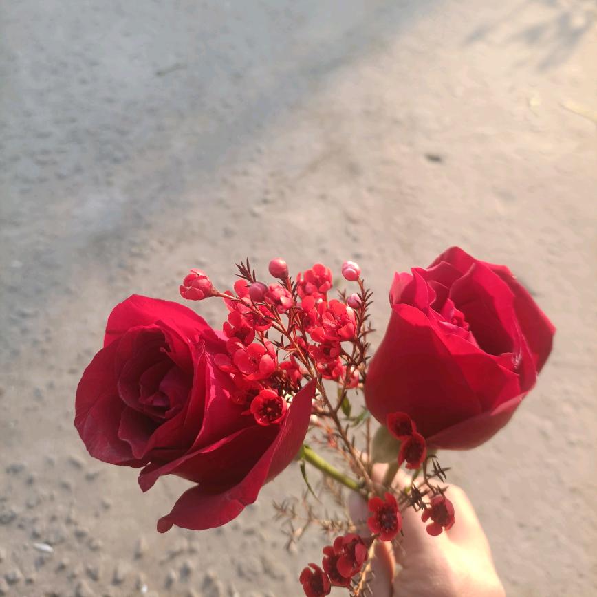 归途ε(*･ω･)_/ﾟ:･☆