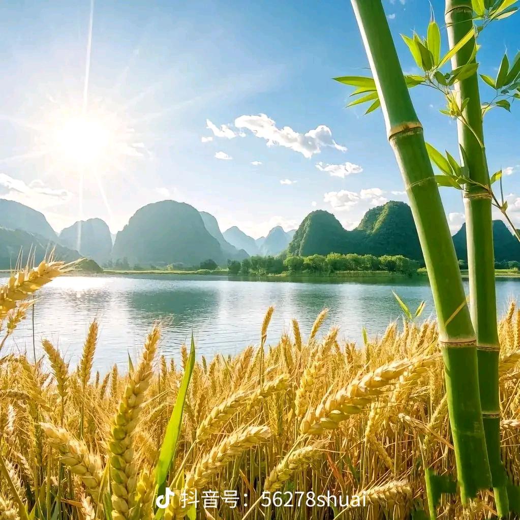 笨鸟先飞