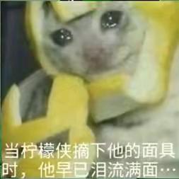 cs糕手