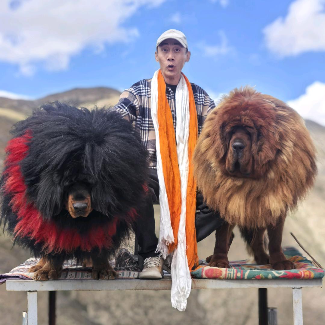 一叶一花一菩提