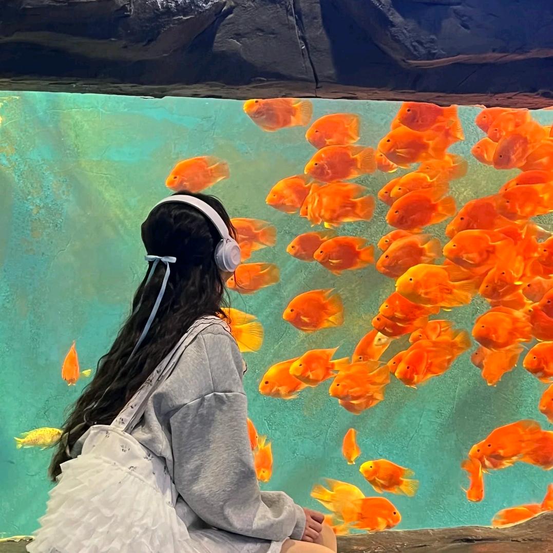 贝贝水族屋🐟