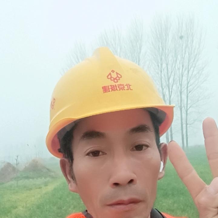 上山虎