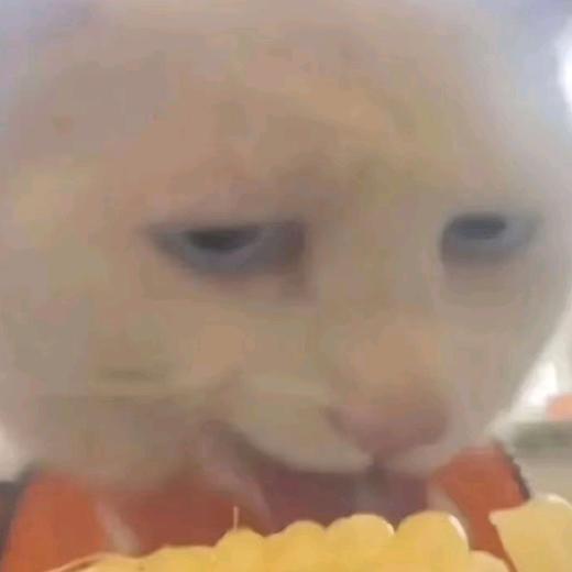 AAA鸡屁股批发张姐