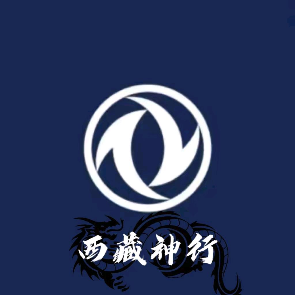 东风风神西藏神行店